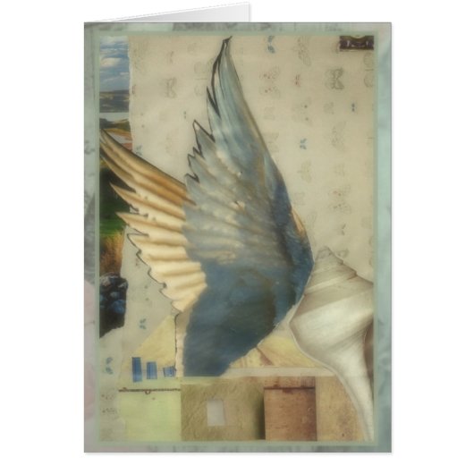 Wings Cards (Front)