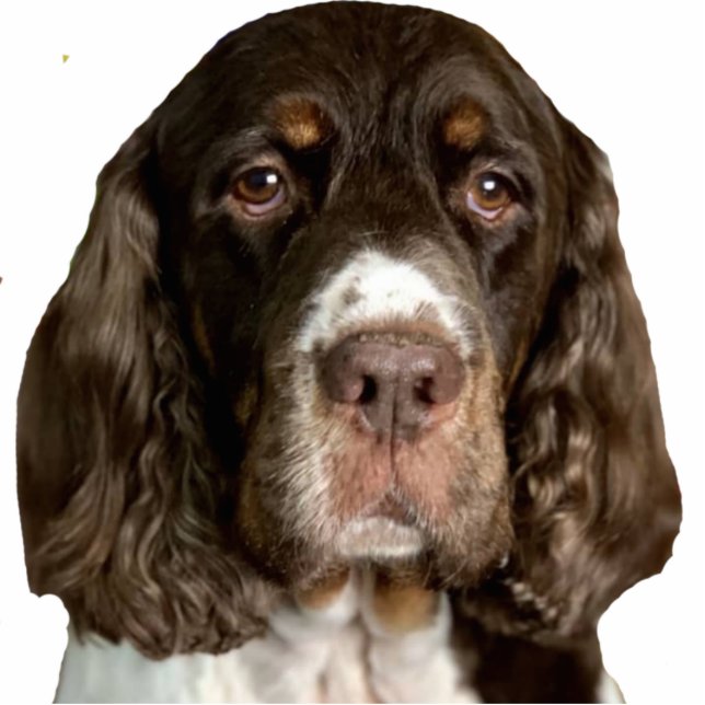 Wings Cutout (Front)