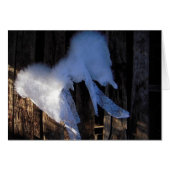 Wings & Lace - Blank Card (Front Horizontal)