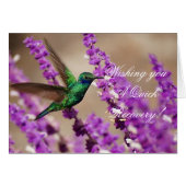 Wings of Faith Sparkling Violet-ears Hummingbird (Front Horizontal)