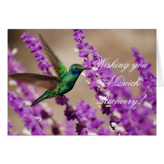 Wings of Faith Sparkling Violet-ears Hummingbird Cards