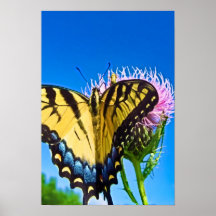 Wings of Love Poster