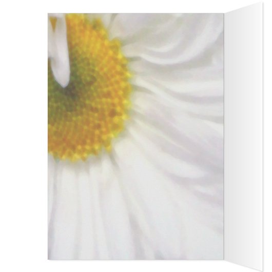 Wings of Summer (Inside (Left))