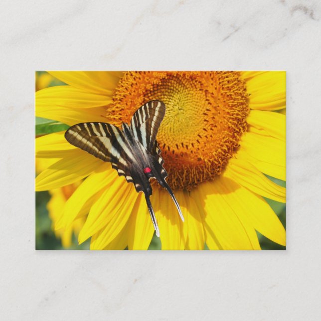 Wings of summer , Business card (Front)