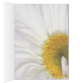 Wings of Summer Cards (Inside (Right))