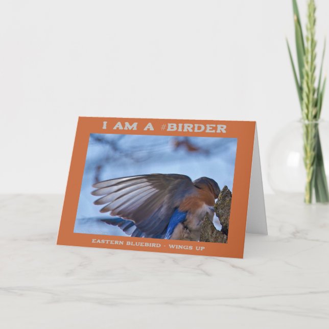 Wings Up Eastern Bluebird Birder Card (Front)