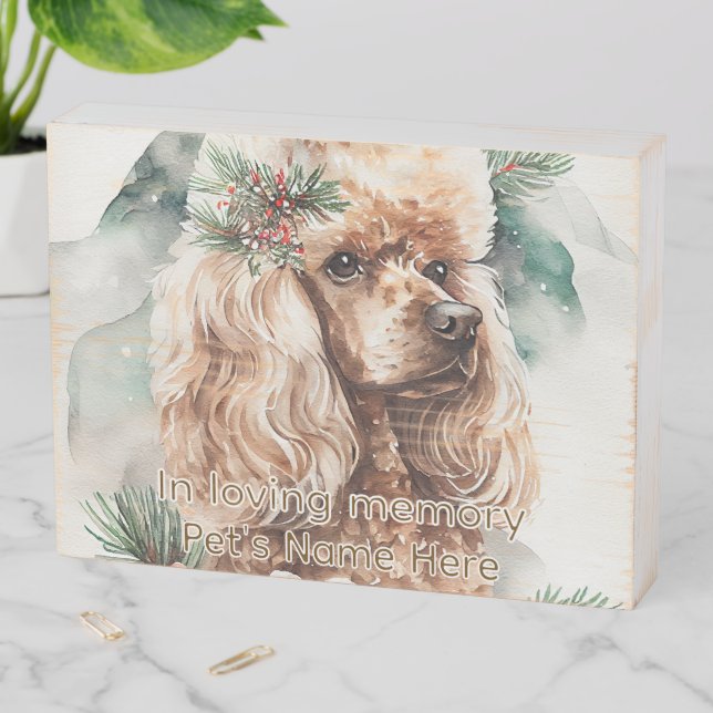 Wings Wooden Box Sign (In Situ Horizontal)