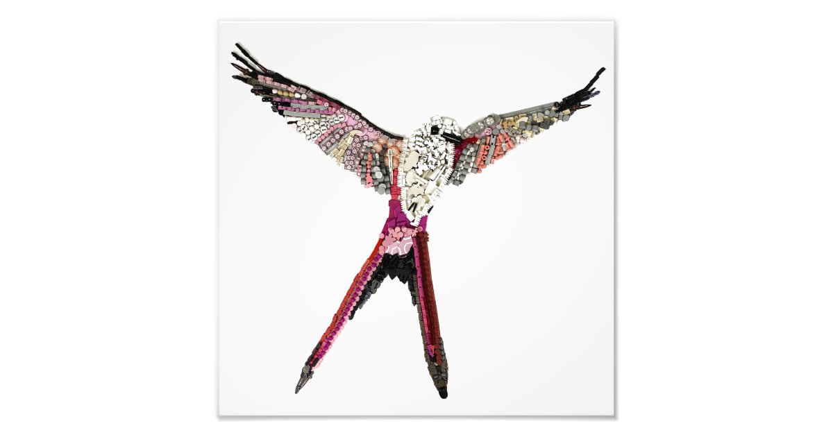 Wingspan Bird Made From Board Game Pieces Photo Print Zazzle Com,Summer Programs For Kids Near Me
