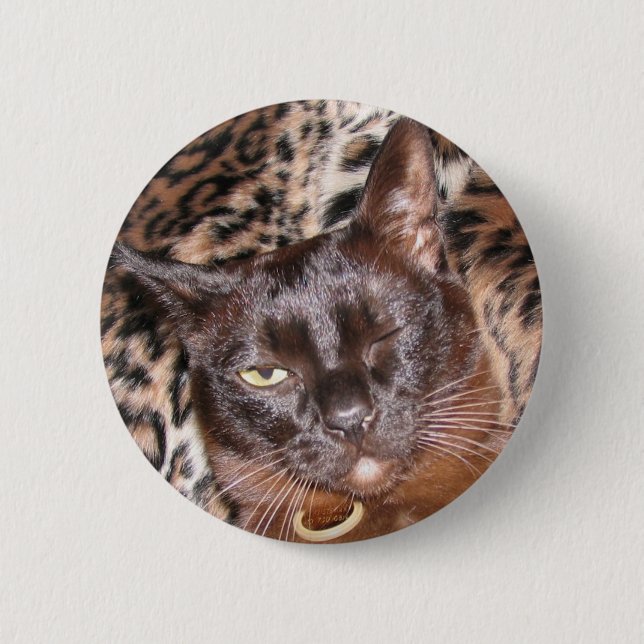 Winking Burmese Button (Front)