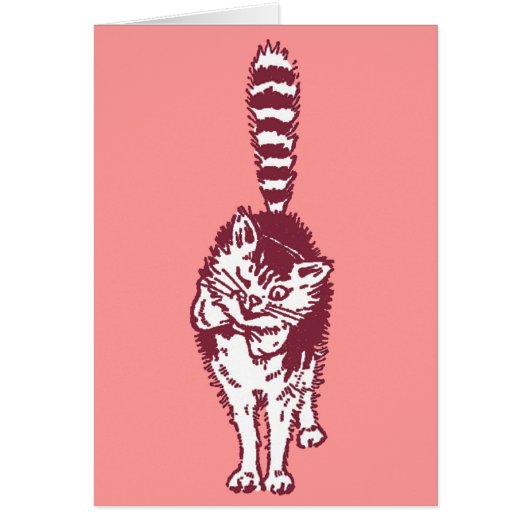 Winking Cat with Bushy Striped Tail Cards (Front)