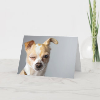 Winking Chihuahua Greeting Card