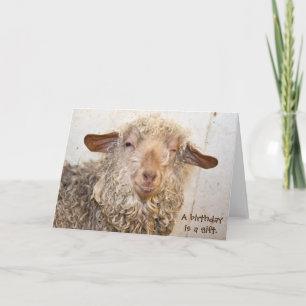 winking goat for humorous birthday card