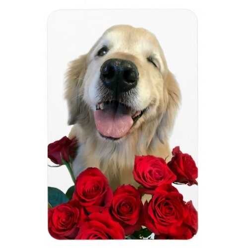 Winking Golden Retriever Dog With Red Roses Magnet