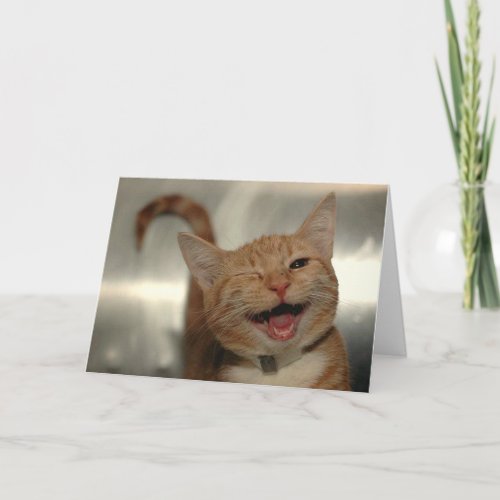 Winking Happy Ginger Cat Birthday Card