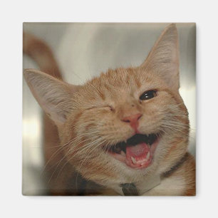 Winking Happy Ginger Cat Magnet