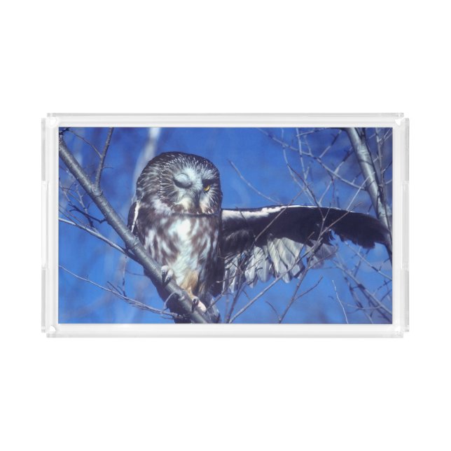Winking owl acrylic tray (Front)