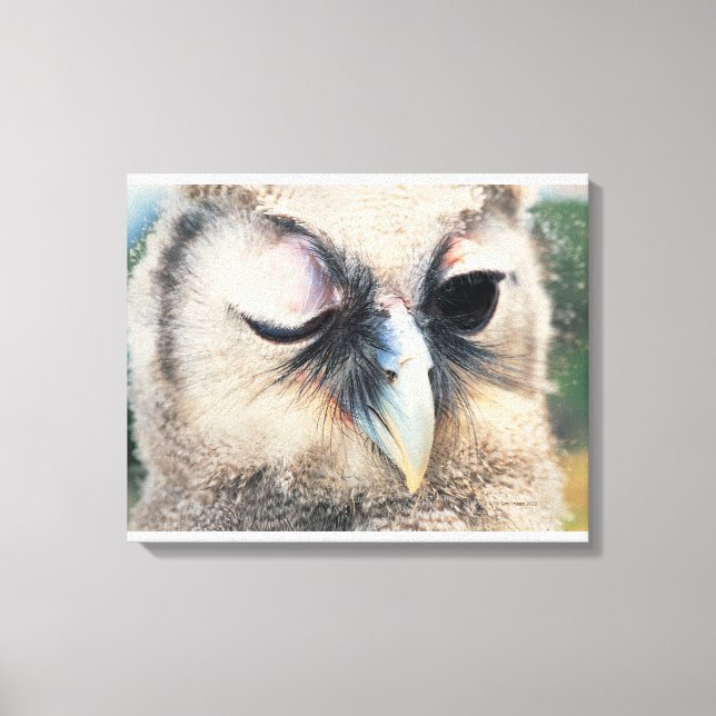 Winking Owl Canvas Print (Front)