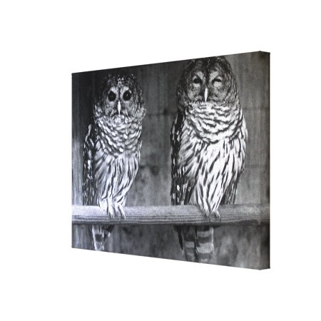 Winking Owl Canvas Print
