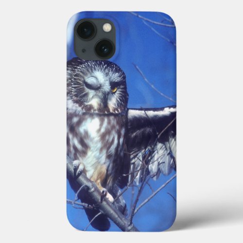 Winking owl iPhone 13 case