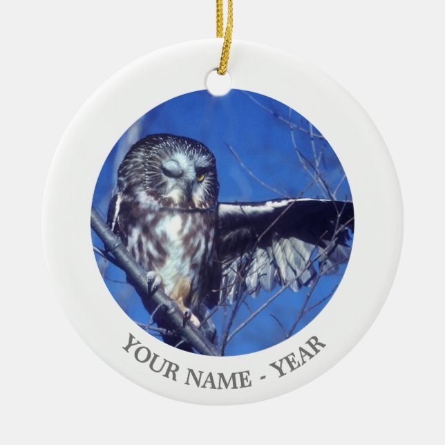 Winking owl ceramic ornament (Front)