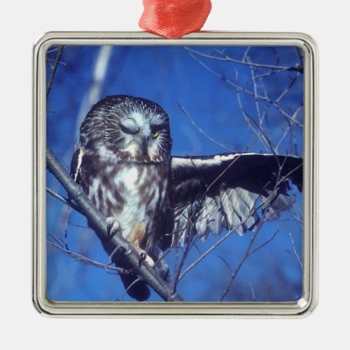 Winking owl metal ornament