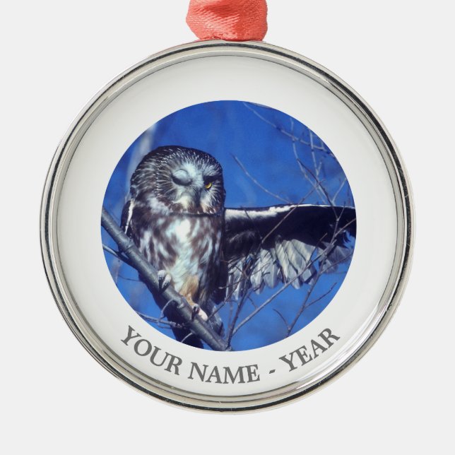 Winking owl metal ornament (Front)