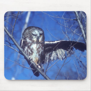 Winking owl mouse pad