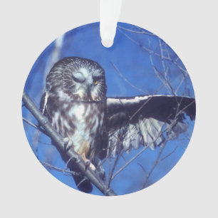 Winking owl ornament