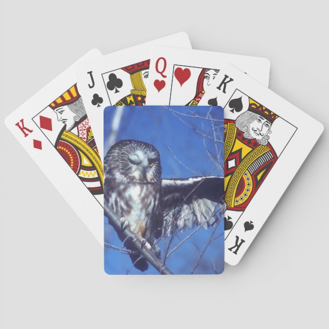 Winking owl poker cards (Back)