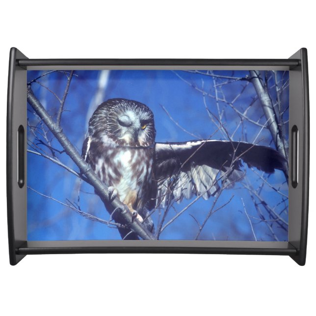 Winking owl serving tray (Front)