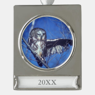 Winking owl silver plated banner ornament