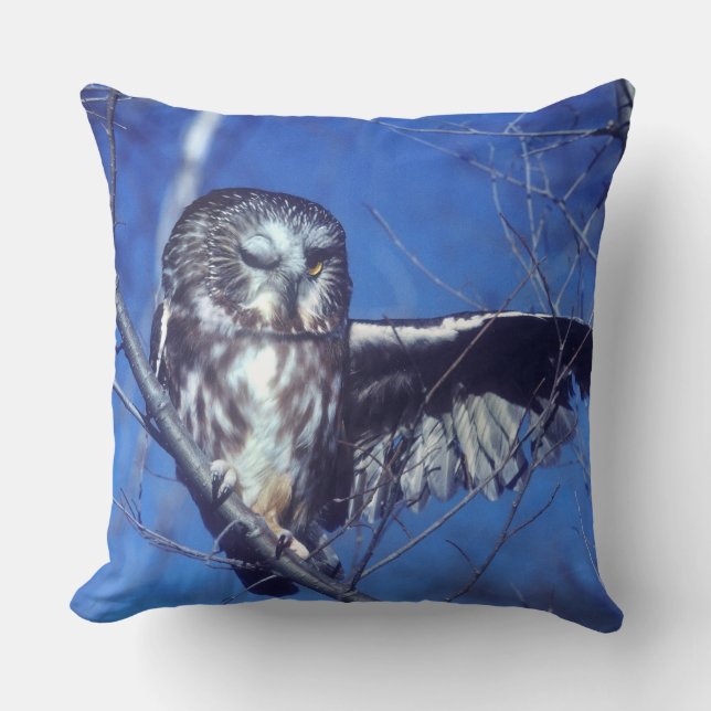 Winking owl throw pillow (Front)