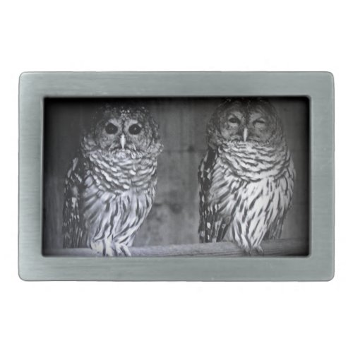 Winking Owls Belt Buckle