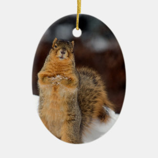 Winking Squirrel Ceramic Ornament