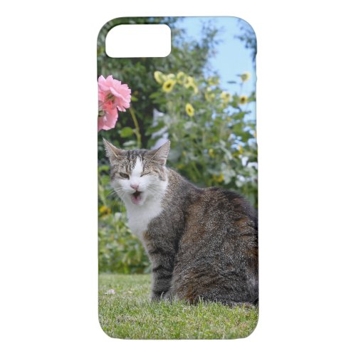 winking tabby cat on grass iPhone 87 case