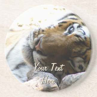 Winking Tiger Sandstone Coaster