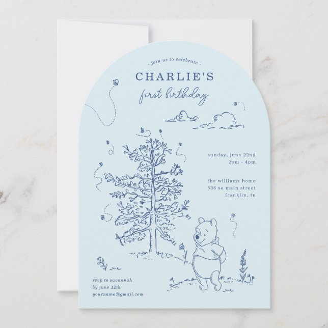 Winnie the Pooh 100 Acre Wood Boy Birthday  Invitation (Front)
