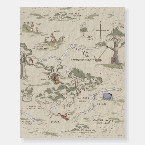 Winnie the Pooh  100 Acre Wood Map Foam Board