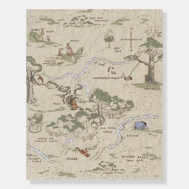 Winnie the Pooh | 100 Acre Wood Map Foam Board (Front)