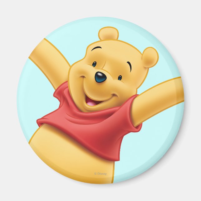 Winnie the Pooh 7 Magnet (Front)