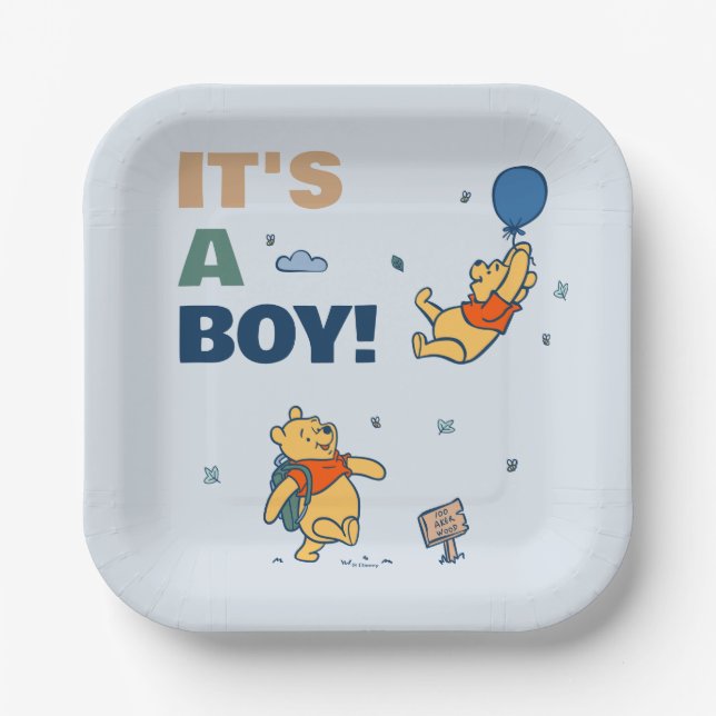 Winnie the Pooh and Friends Baby Shower Paper Plates (Front)