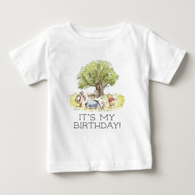 Winnie the Pooh and Pals  | It's My Birthday Baby T-Shirt (Front)