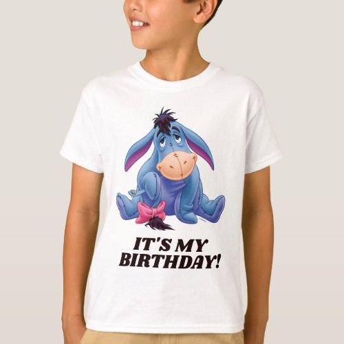 Winnie the Pooh  Eeyore _ Its My Birthday T_Shir T_Shirt