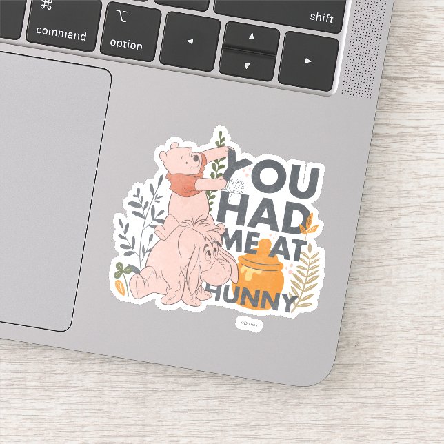 Winnie the Pooh & Eeyore | You had me at Hunny Sticker (Detail)
