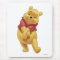 Winnie the Pooh
