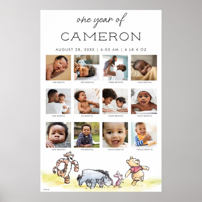 Winnie the Pooh | One Year of - 12 Months Photo Poster (Front)