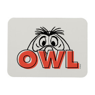 Winnie the Pooh Owl Peek-A-Boo Magnet