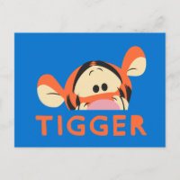 Winnie the Pooh | Peek-a-Boo Tigger