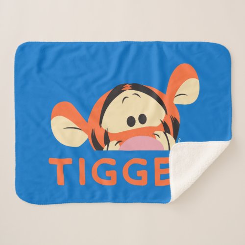 Winnie the Pooh  Peek_a_Boo Tigger Sherpa Blanket