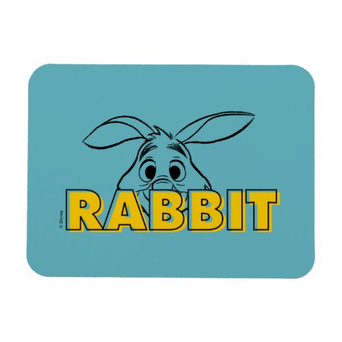 Winnie the Pooh  Rabbit Peek_A_Boo Magnet